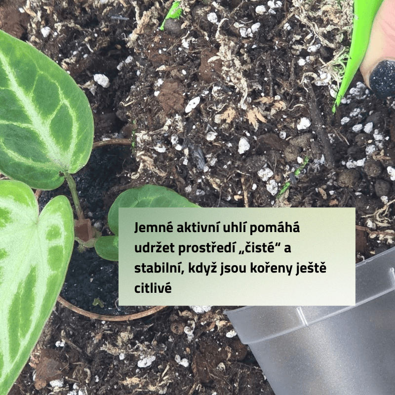 Mix č. 6 Pro mini rostlinky